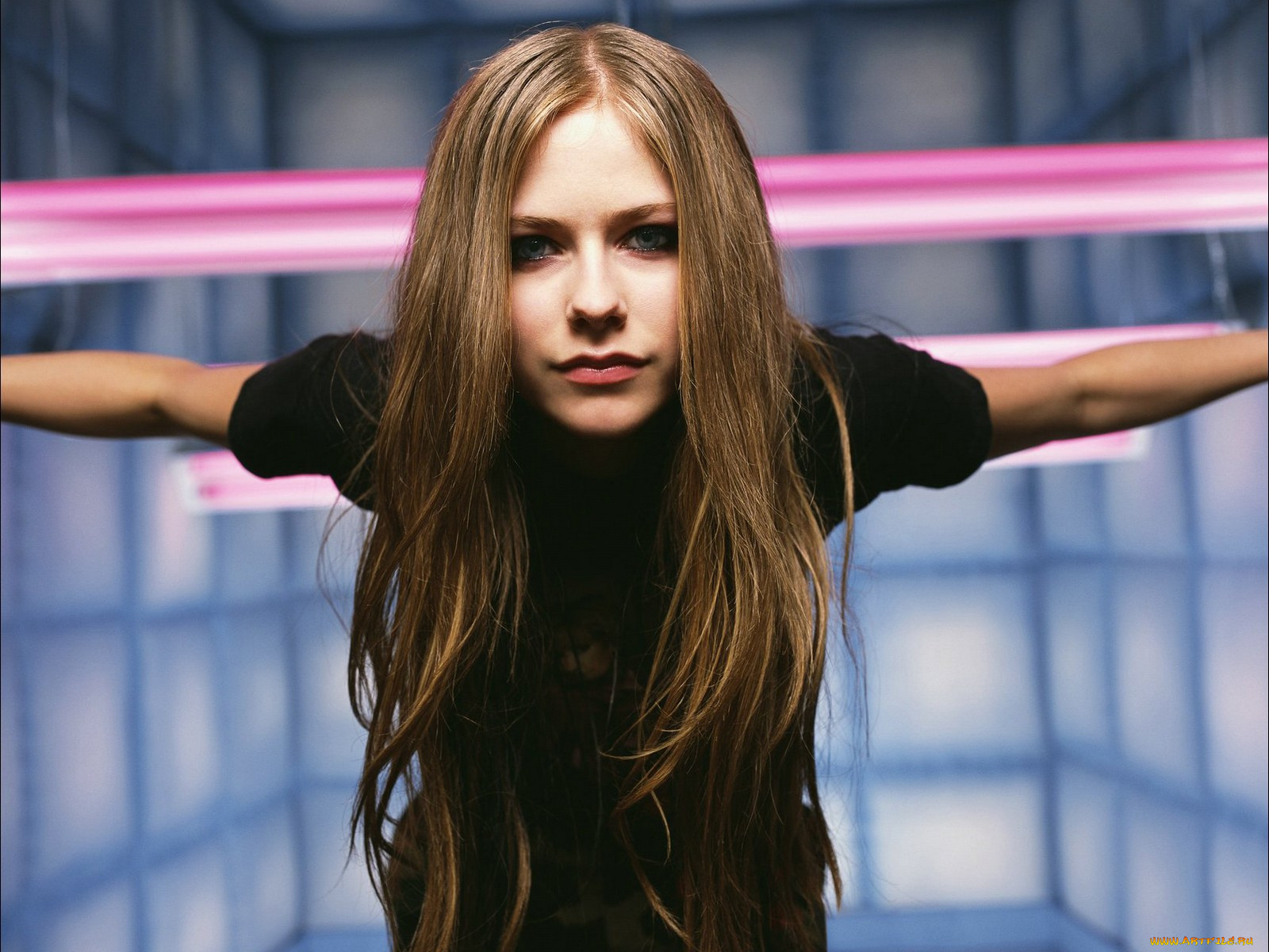 avril, lavigne, 